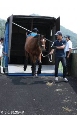 JRA日高育成牧場に到着した1歳馬