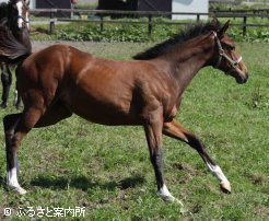 チェリーラブ2008～4