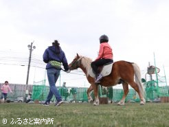 大勢の子供が参加したポニー体験乗馬