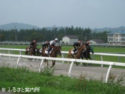 わずか4か月の研修で手綱を見事に操る28期生たち