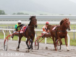 繋駕レース