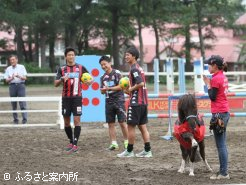 コンサドーレ札幌の選手とチッチ