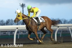 セプテンバーセール取引馬初勝利のラジアントエンティ