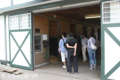 19頭の研修馬がいる厩舎や施設を見学