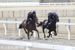 騎乗供覧で一番時計の23.7秒(12.7秒～11.0秒)をマークしたハローオンザヒル14(内69番、牝、父ゼンノロブロイ)とチューベローズ14(外26番、牝、父シニスターミニスター)