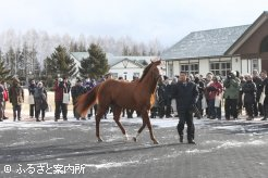 供用2年目を迎えるケープブランコ