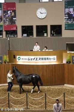 せり会場の様子