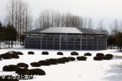 馬の体調維持を考慮されウォーキングマシンも用意された