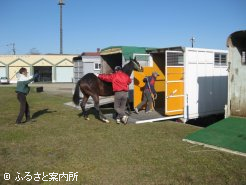 検査が終わると預託先へ行く馬運車に積み込まれた