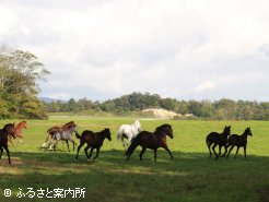 新冠町にあるノースヒルズ