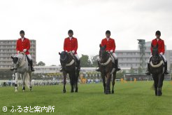 エリモハリアーをはじめとする誘導馬も雄姿を見せた