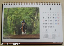 1月はオルフェーヴル
