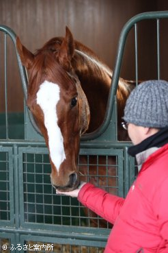 中西信吾場長からミントキャンディーを与えられて喜んだ