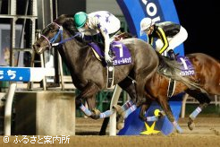 1馬身差でスティールキングに軍配が上がった