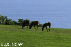 写真５　[海]