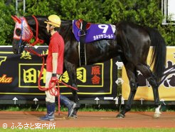 前走から6kg増の504kgで出走