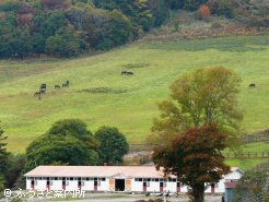繁殖馬の放牧地と厩舎