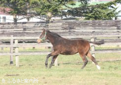 ビッグテンビー2011