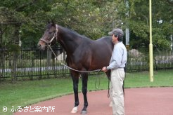 ディープインパクトも見学～2010年ツアーより