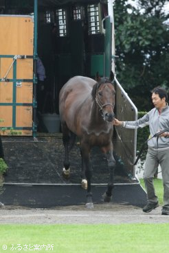 ブリーダーズ･スタリオン･ステーションに到着したストロングリターン