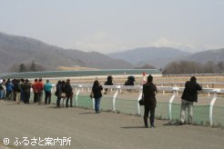 今年ブリーズアップセール上場予定馬の調教風景