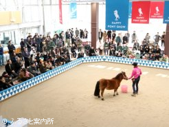 最初のショーはメメちゃんが登場