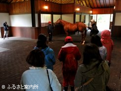 種牡馬を見学する馬女ネット参加者