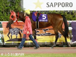 460kgの馬体重で出走