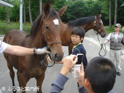 バスツアーの様子