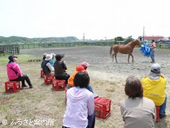 ビニルシートを使って