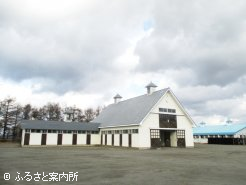 牧場の厩舎、北海道・岩手に複数拠点を構える