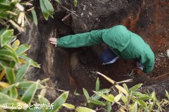 断面を触って確認する研修会出席者