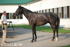 インザサイレンスの父リキアイサイレンスは岡田牧場の生産馬