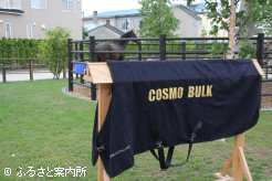 ファンから送られた馬服も展示された