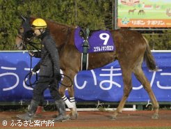 馬体重448kgで出走した