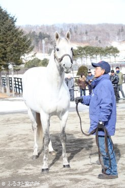 芦毛の馬体がすっかり真っ白となったフサイチリシャール