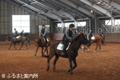 研修所屋内馬場で行われた騎乗供覧