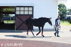 3年間過ごした厩舎を後にする