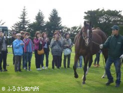 ブリーダーズSSでの種牡馬見学