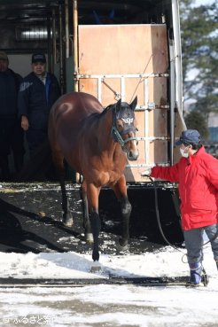 アロースタッドに到着したトランセンド