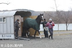 しっかりとした足取りで新天地に到着した