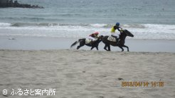 串木野浜競馬大会の様子