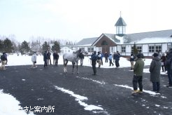 日本軽種馬協会静内種馬場では3頭の種牡馬を視察