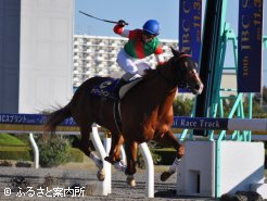 藤岡佑介騎手と共に初Jpn1制覇となった