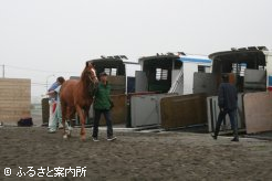 馬運車6台でやってきたノーザンファームの２歳馬たち