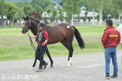ディープインパクトを父に持つ申請馬名ディープウォーリア