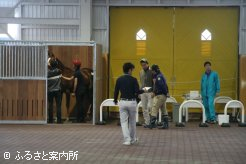 採血と目の検査は仮設馬房内行われる