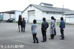 日本軽種馬協会静内種馬場で行われた体験入学会