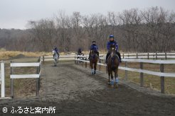 ウォーミングアップする上場馬