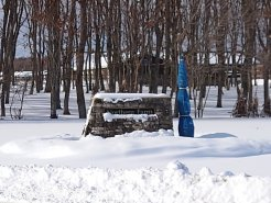 牧場全体が雪で覆われた
